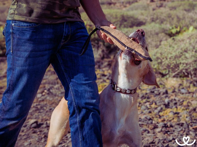 Zkousky-rally-obedience (4)